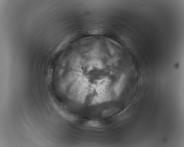 X0000112010171200908171452