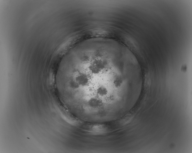 X0000112010173200908171452