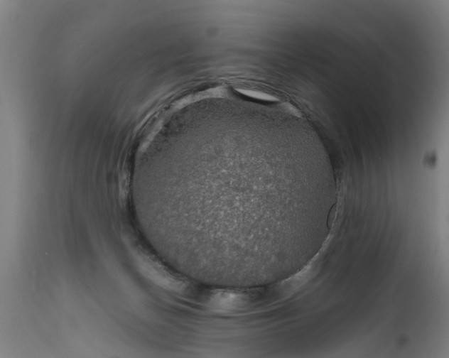 X0000112010174200908171452