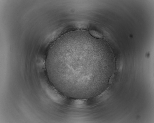 X0000112010176200908171452