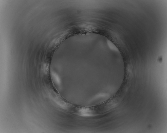 X0000112010177200908171452