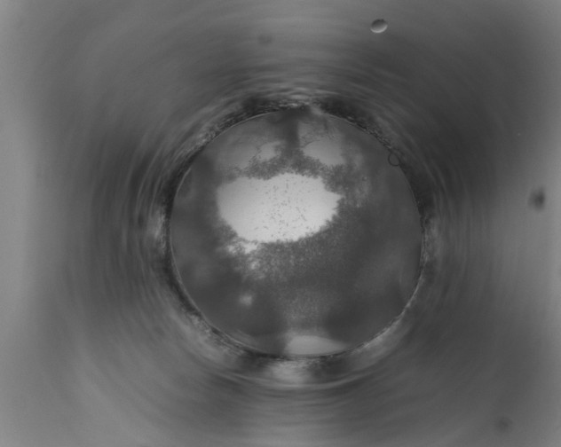 X0000112010178200908171452