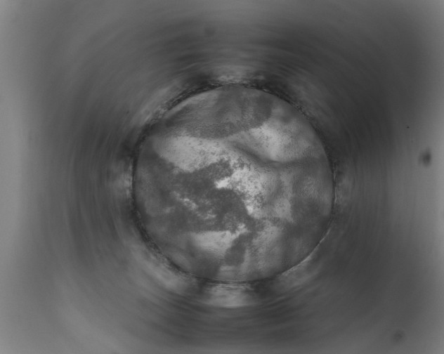 X0000112010179200908171452