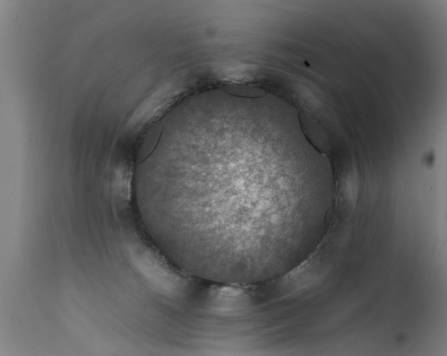 X0000112010180200908171452