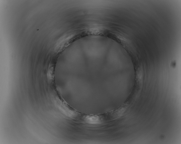 X0000112010181200908171452