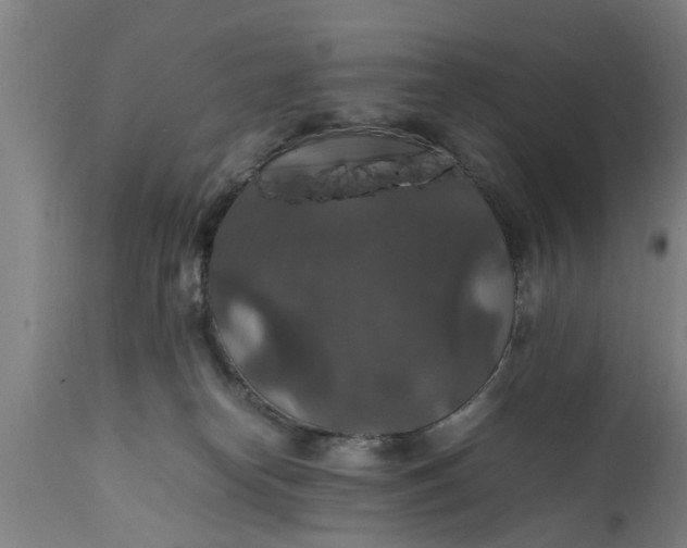 X0000112010182200908171452