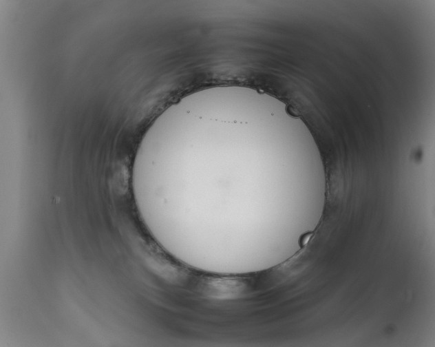 X0000112010183200908171452