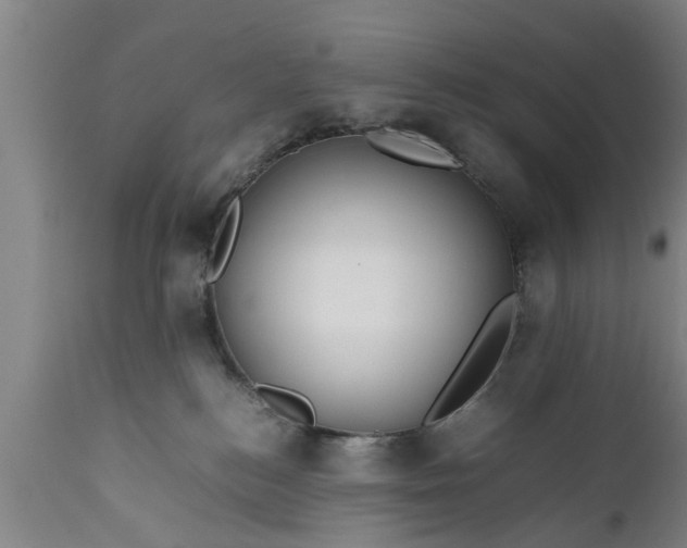 X0000112010184200908171452