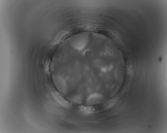 X0000112010185200908171452