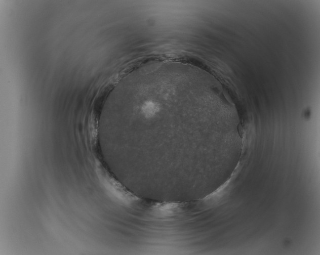 X0000112010186200908171452