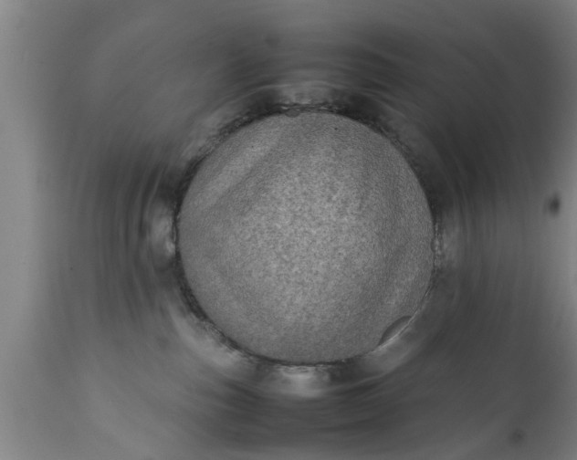 X0000112010187200908171452