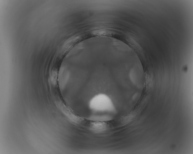 X0000112010189200908171452