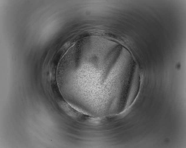 X0000112010190200908171452