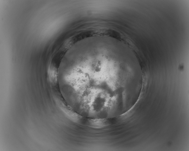 X0000112010191200908171452