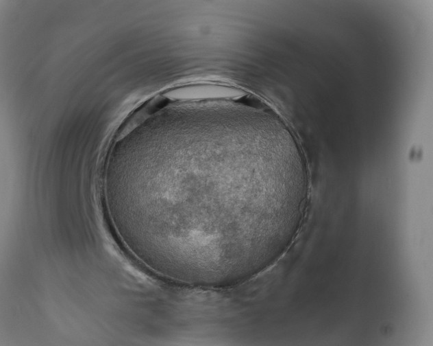 X0000112010193200908171451