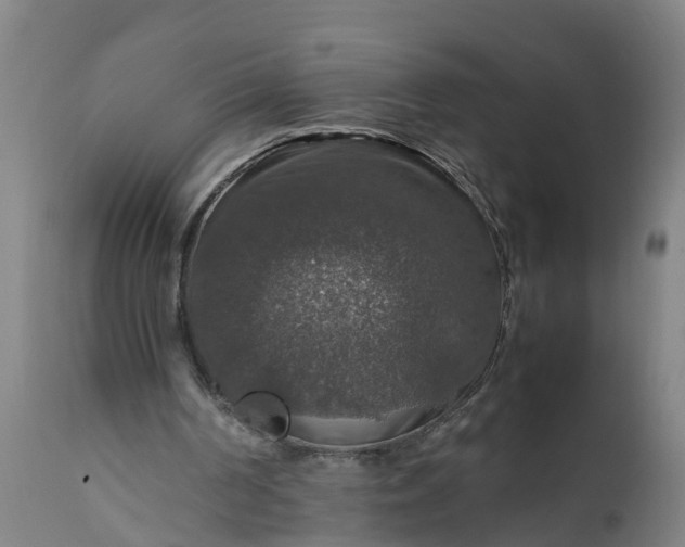 X0000112010194200908171451