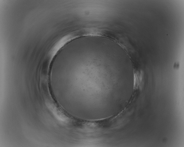 X0000112010195200908171451