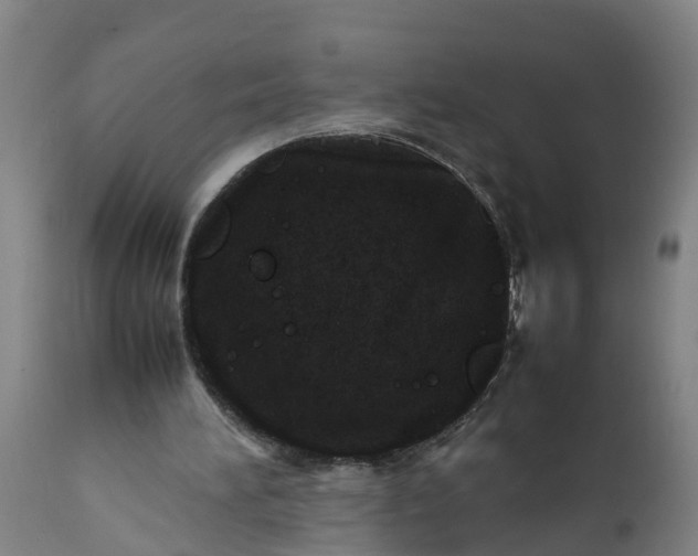 X0000112010196200908171451