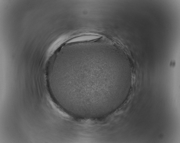 X0000112010197200908171451