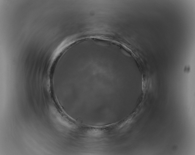 X0000112010198200908171451