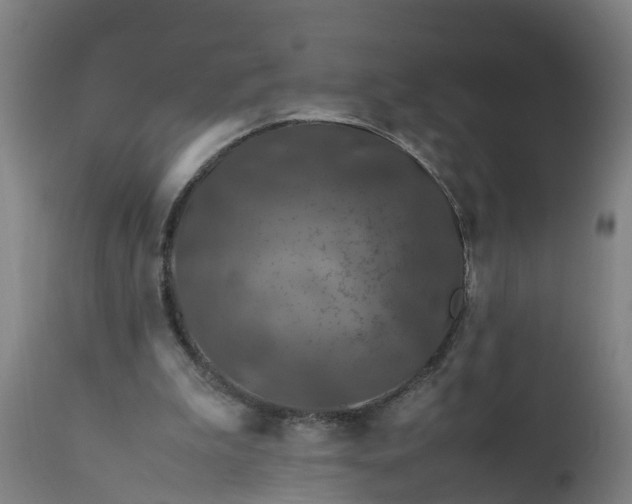 X0000112010199200908171451