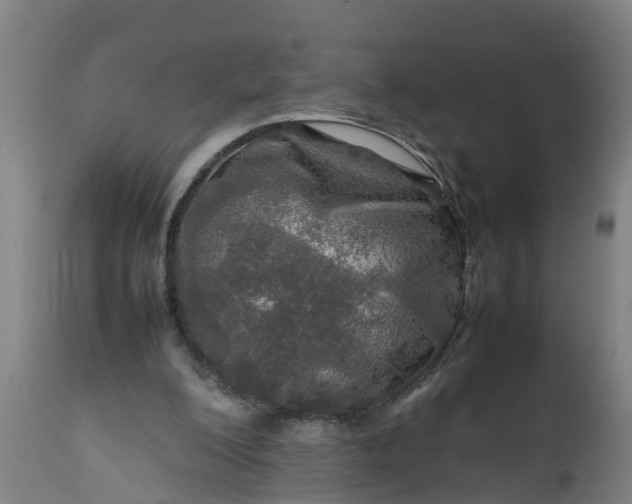 X0000112010200200908171451