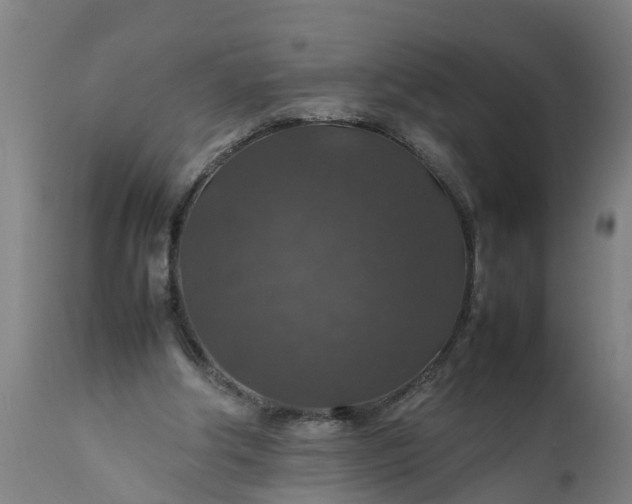 X0000112010202200908171451