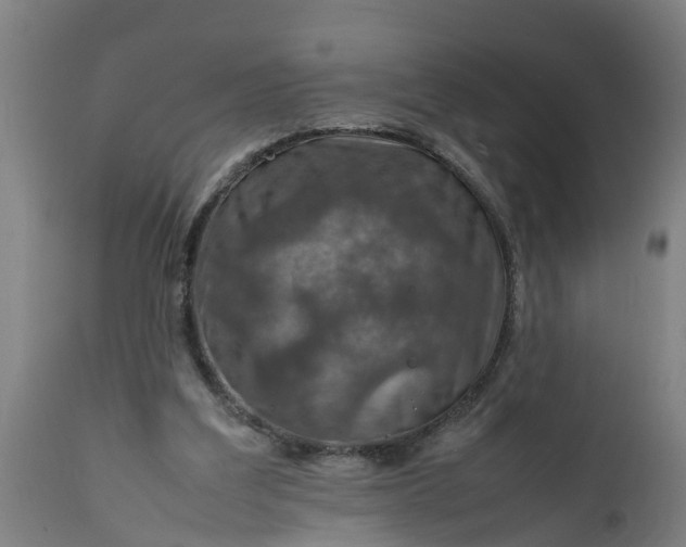 X0000112010203200908171451