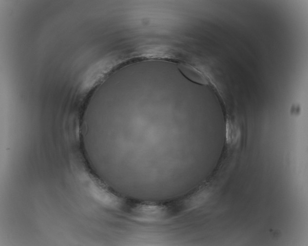 X0000112010205200908171451