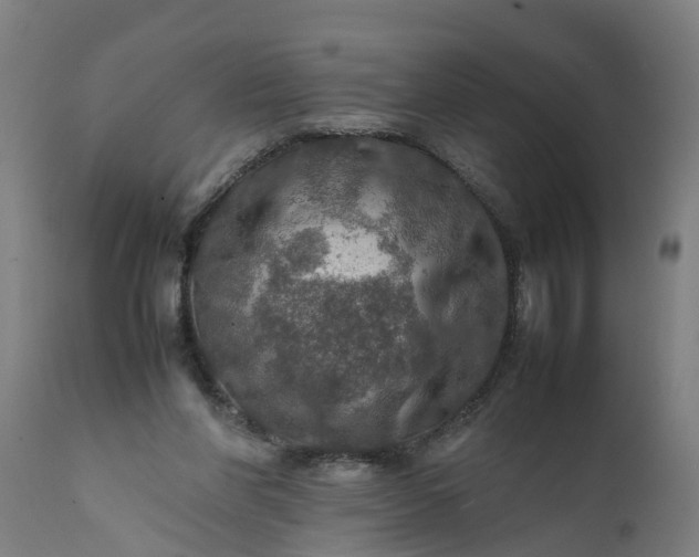 X0000112010206200908171451