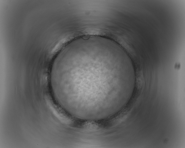 X0000112010207200908171451