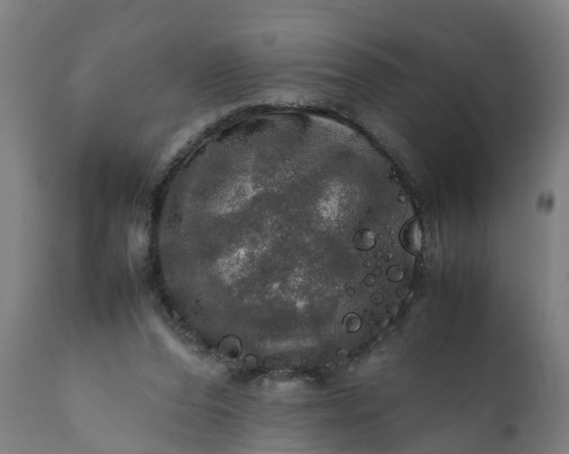 X0000112010208200908171451