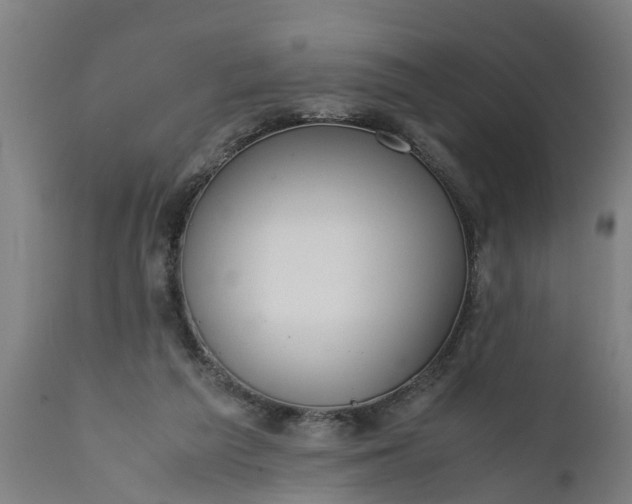 X0000112010209200908171451