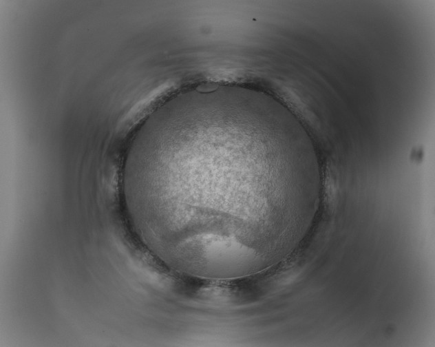 X0000112010211200908171451