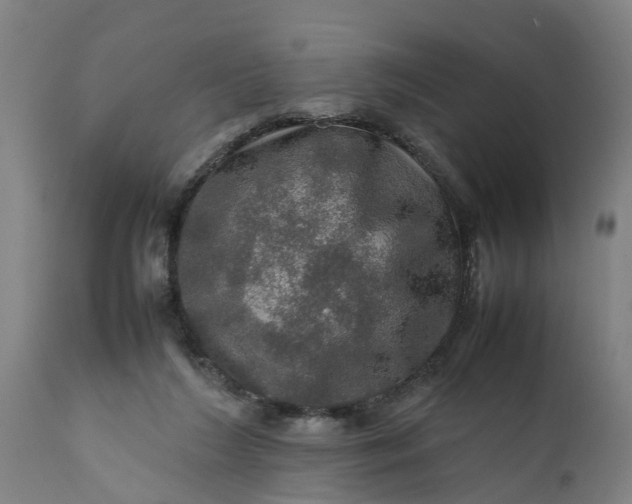 X0000112010212200908171451