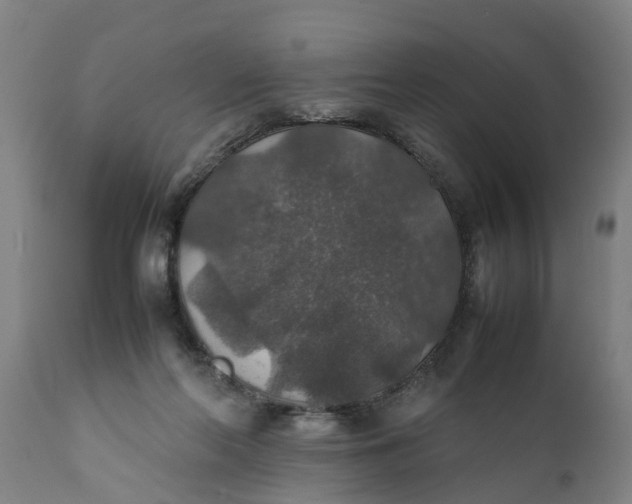 X0000112010214200908171451