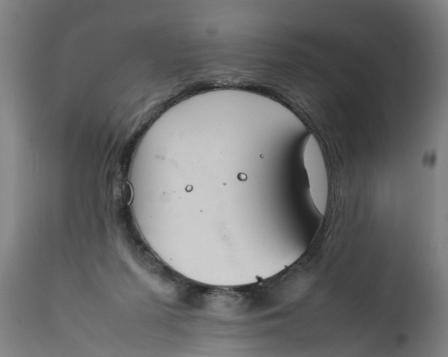 X0000112010215200908171451