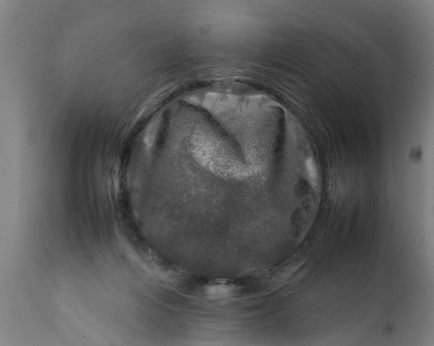 X0000112010216200908171451