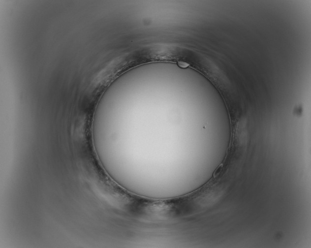 X0000112010217200908171451