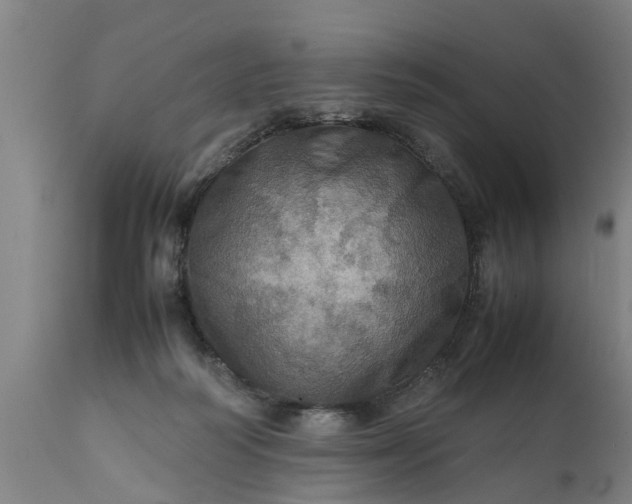 X0000112010218200908171451