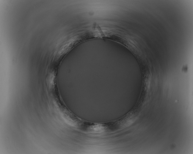 X0000112010219200908171451