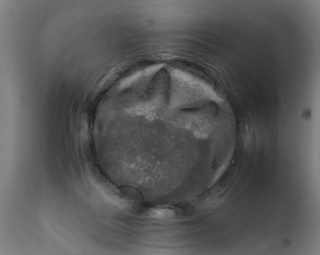 X0000112010220200908171451