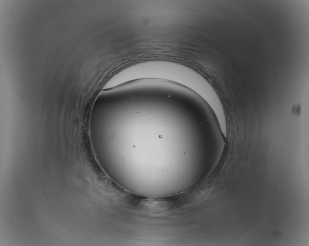 X0000112010221200908171451