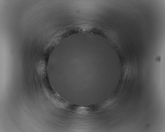 X0000112010222200908171451