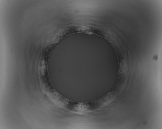 X0000112010223200908171451