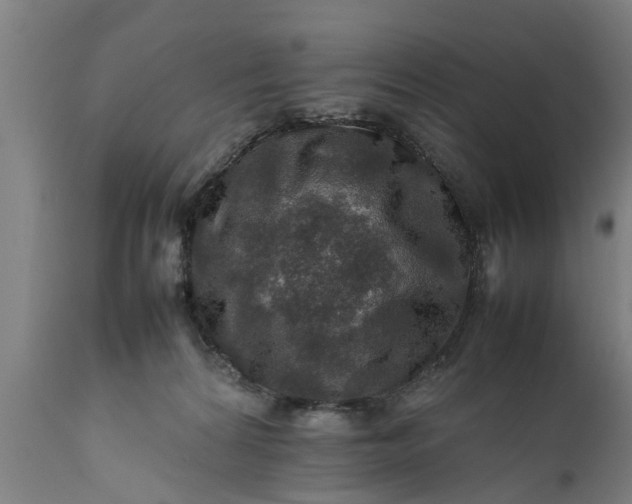 X0000112010224200908171451