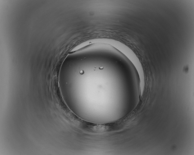 X0000112010225200908171451