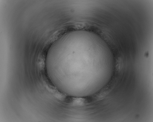 X0000112010226200908171451