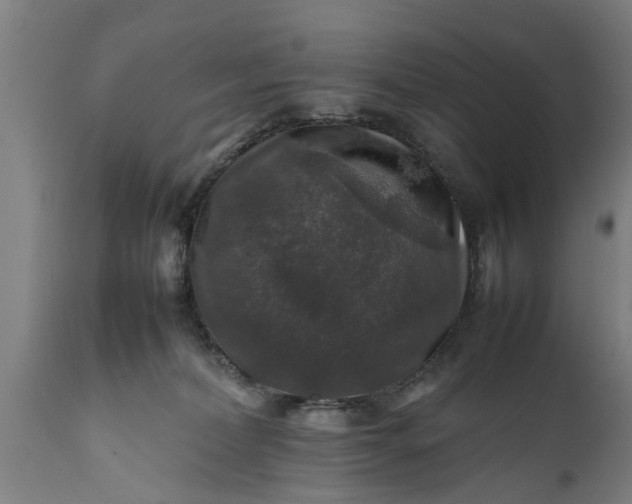 X0000112010228200908171451