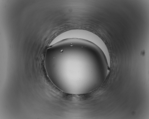 X0000112010229200908171451